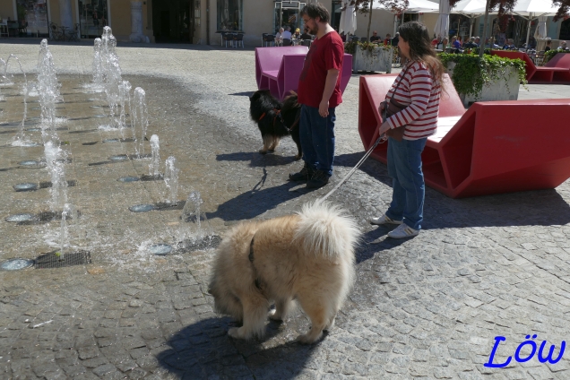 19.5.2024 - Springbrunnenwasser schmeckt anders